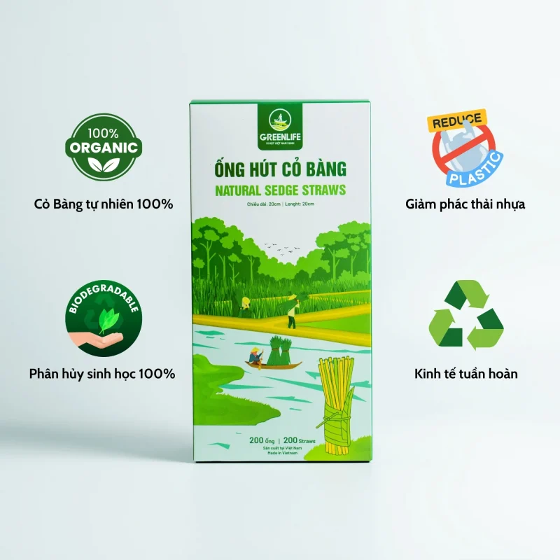 ống hút cỏ bàng