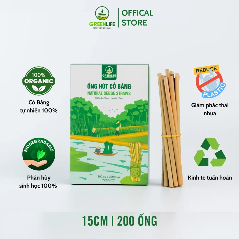 ống hút cỏ, ống hút cỏ bàng