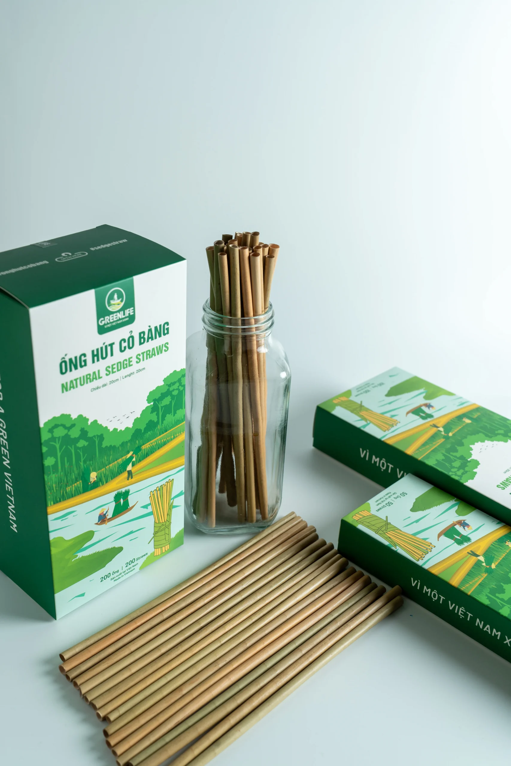 ống hút cỏ bàng
