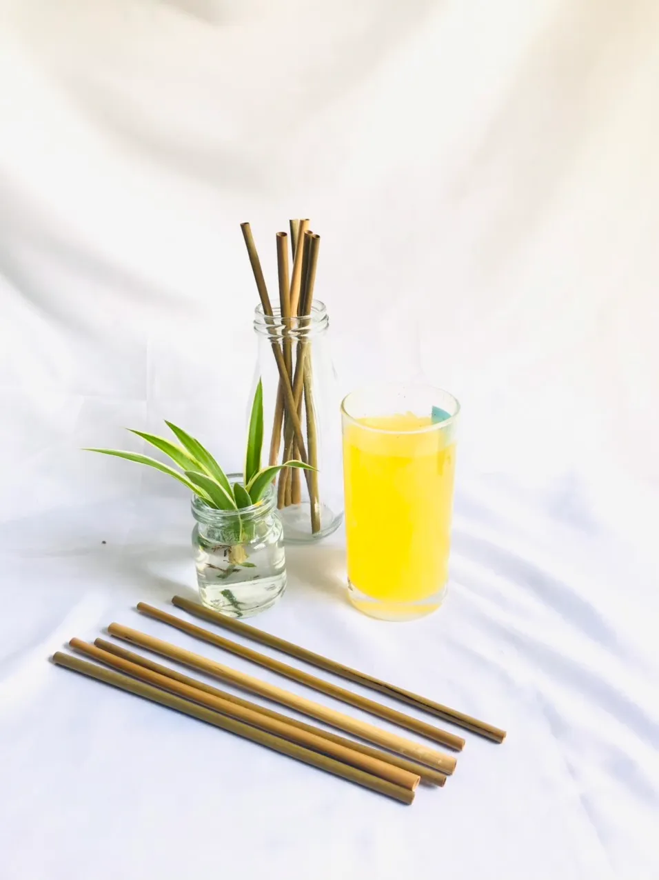ống húy cỏ