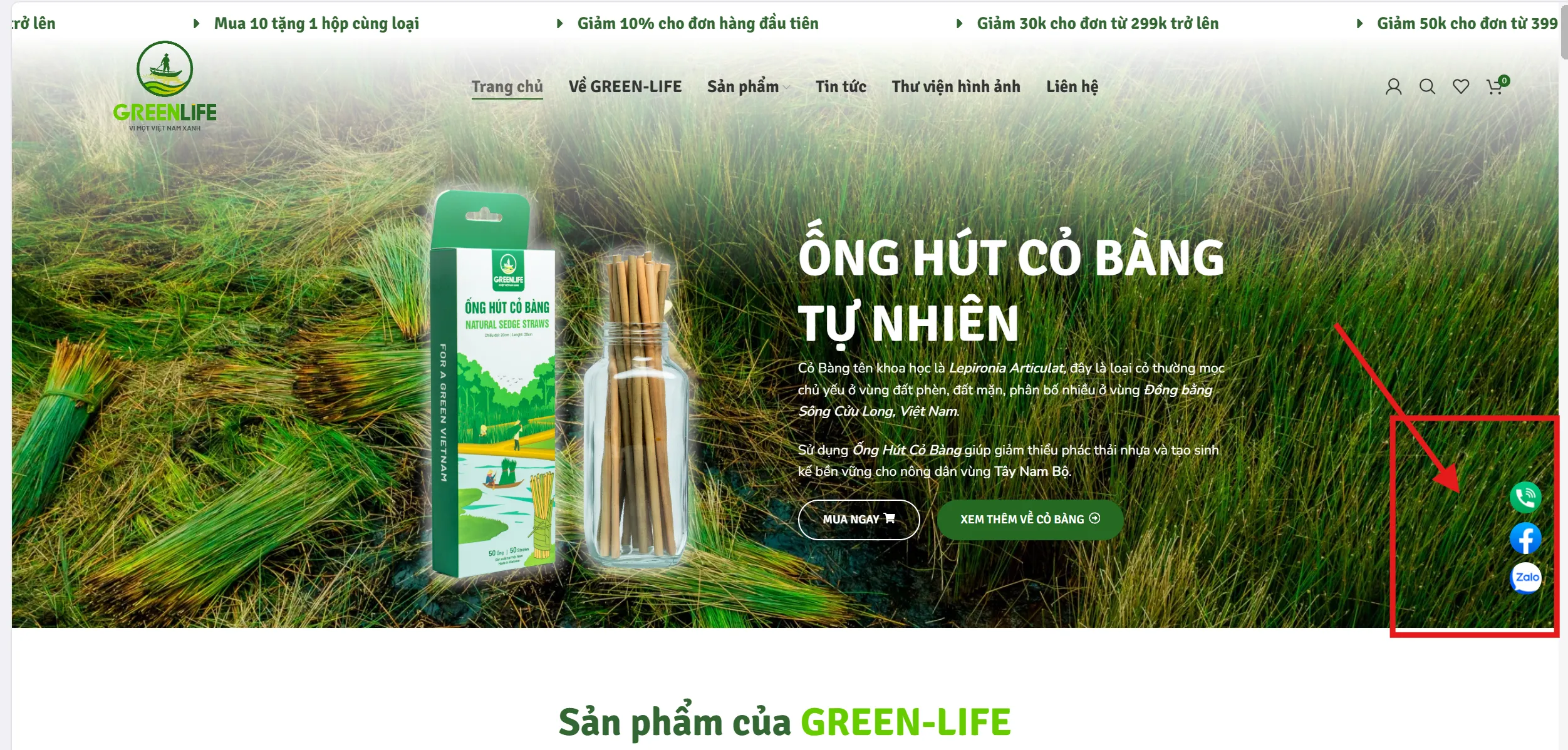hướng dẫn mua hàng