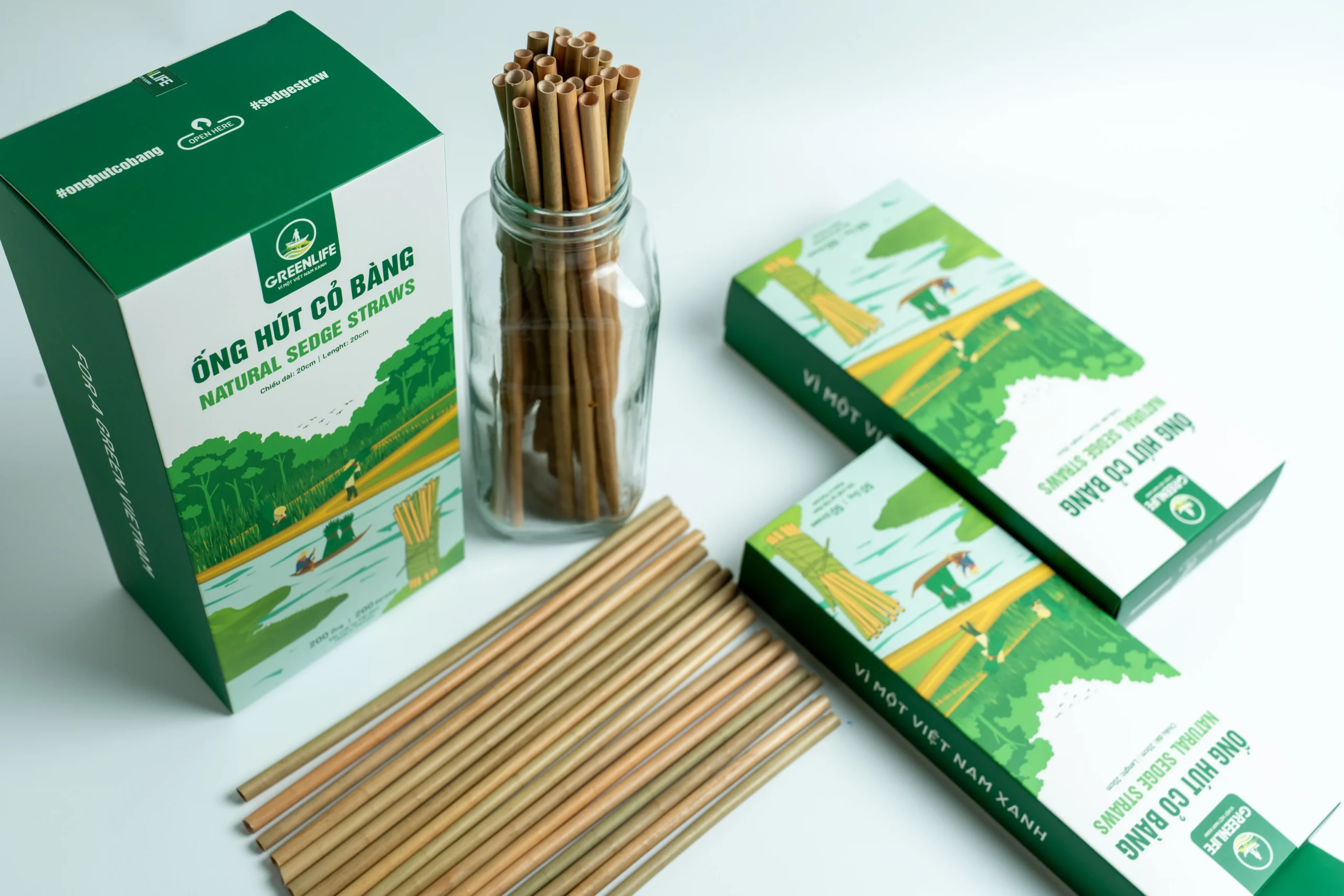 Bạn có biết #1610: Trồng cỏ bàng có thể mang lại hiệu quả kinh tế hơn trồng lúa? 12 buy grass straws
