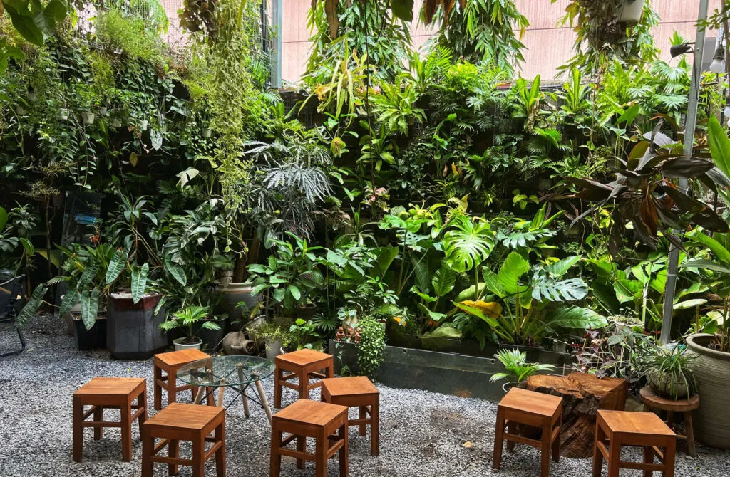 4 tips sử dụng ống hút cỏ bàng hiệu quả cho quán cafe 9 vuon gom cafe 1