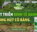 phát triển kinh tế xanh, ống hút cỏ bàng, ống hút cỏ