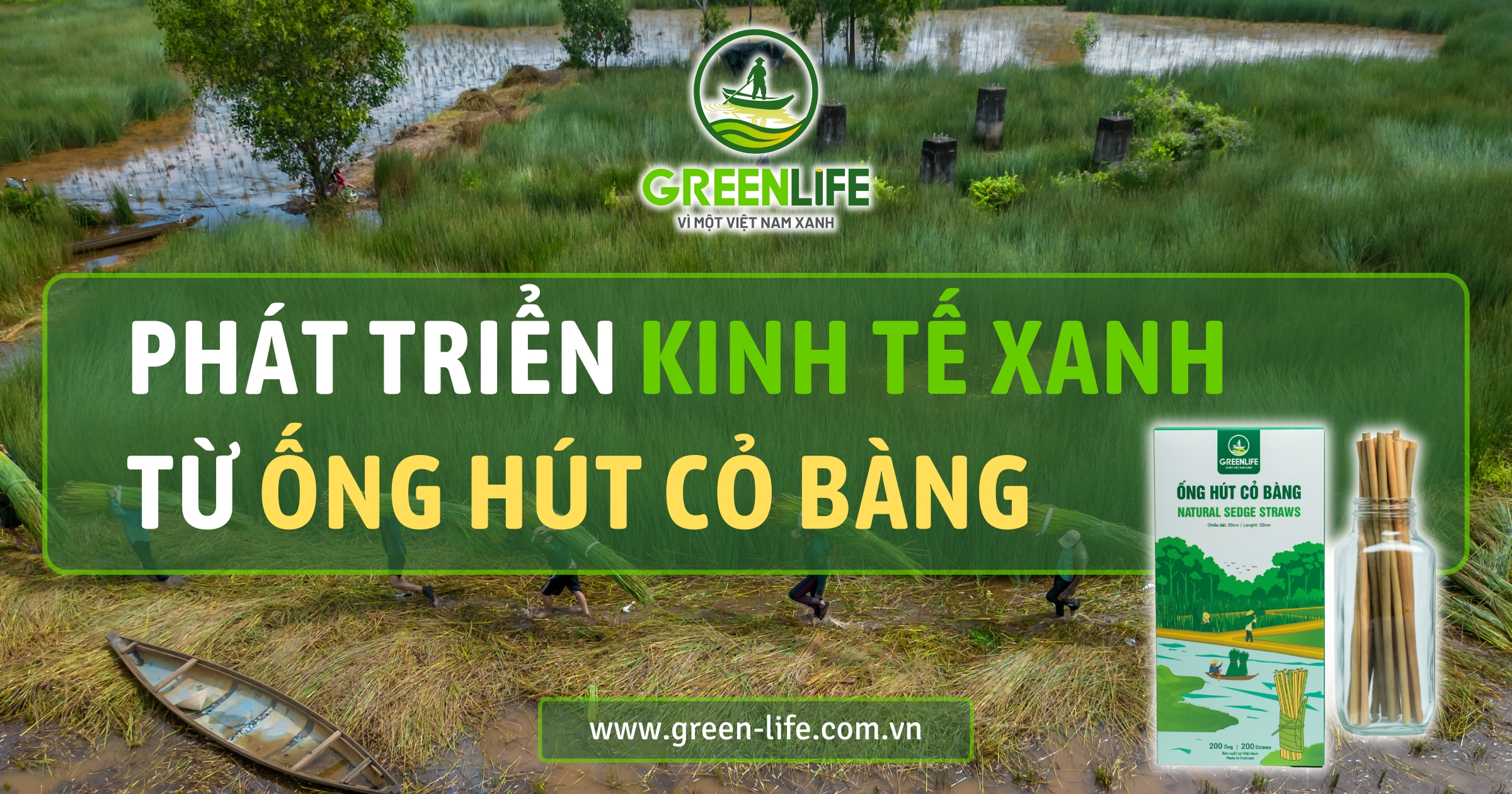 phát triển kinh tế xanh, ống hút cỏ bàng, ống hút cỏ