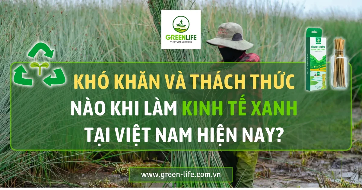 kinh tế xanh, doanh nghiệp kinh tế xanh, mô hình kinh tế xanh, nền kinh tế xanh, phát triển kinh tế xanh