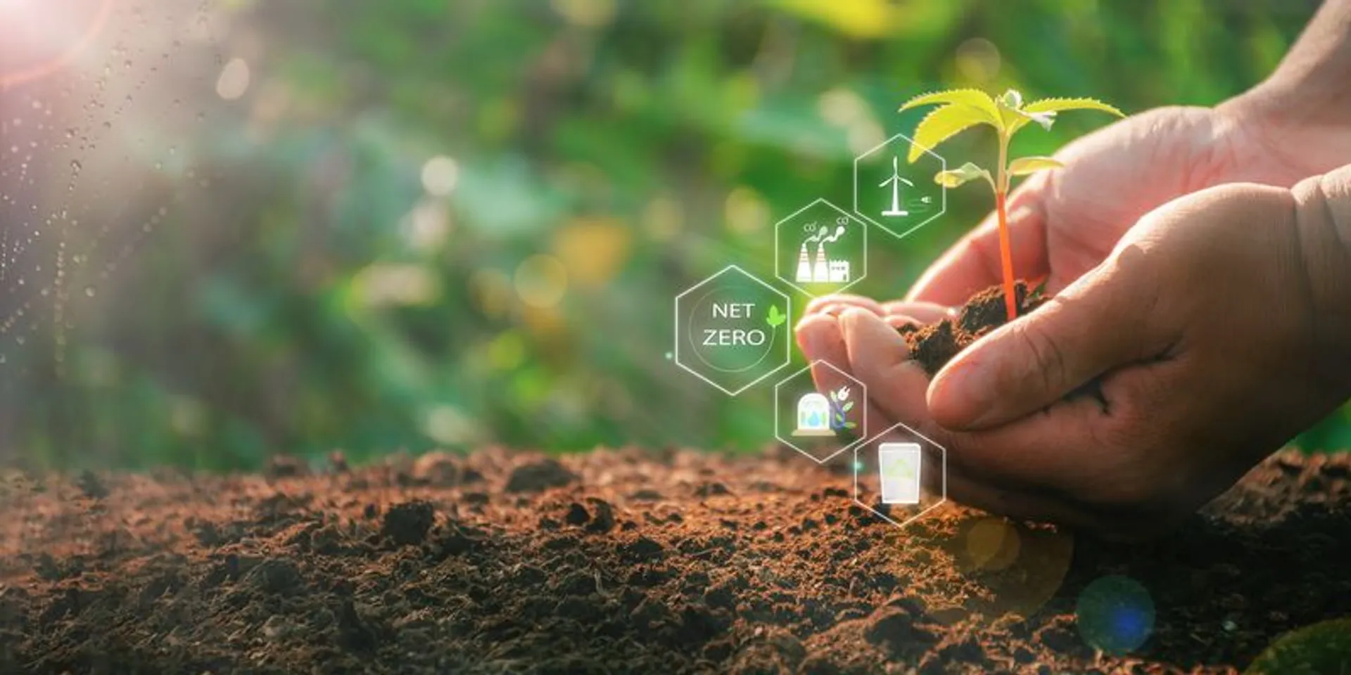 Chuyên cung cấp ống hút cỏ cho quán cafe, nhà hàng 35 Imagell05 1722601521901 11zon