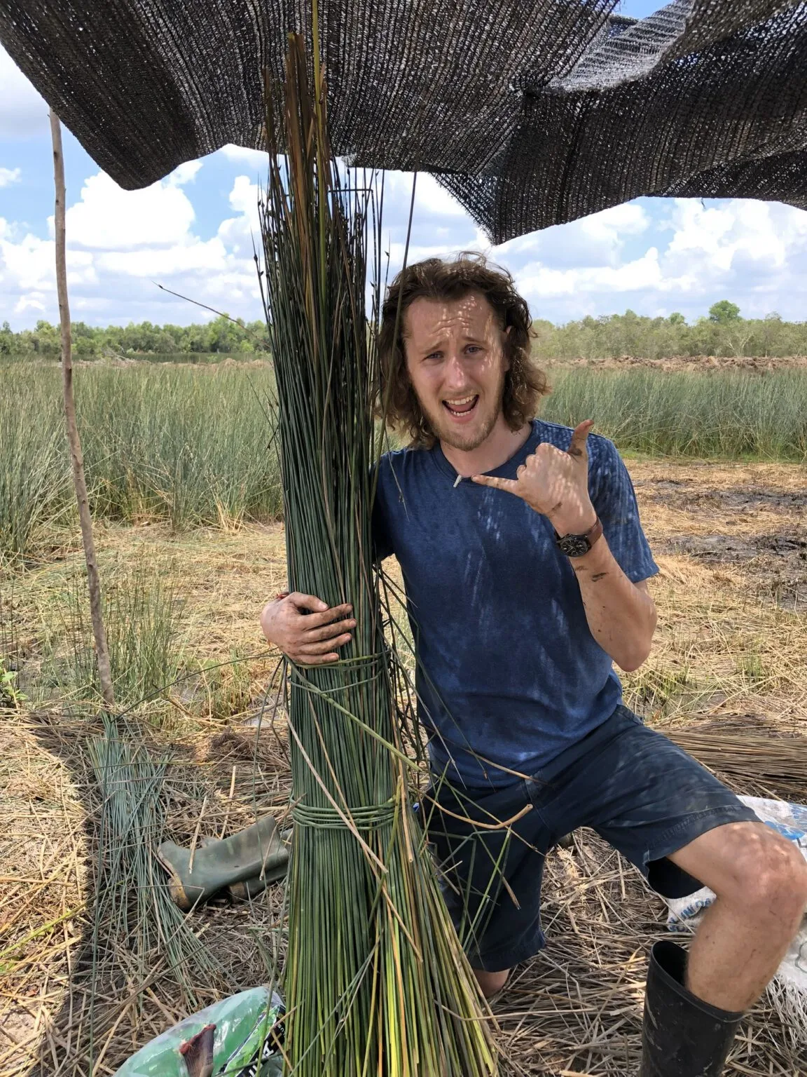 Bạn có biết #1610: Trồng cỏ bàng có thể mang lại hiệu quả kinh tế hơn trồng lúa? 11 ống hút cỏ bàng