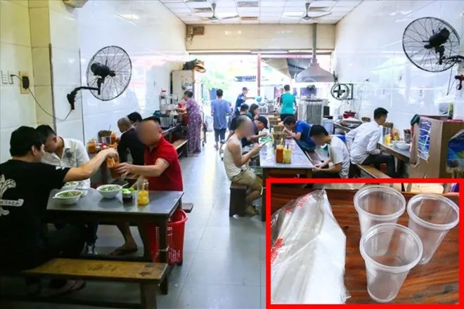 Phát triển kinh tế xanh từ ống hút cỏ bàng tại Việt Nam 3 phát triển kinh tế xanh, ống hút cỏ bàng, ống hút cỏ