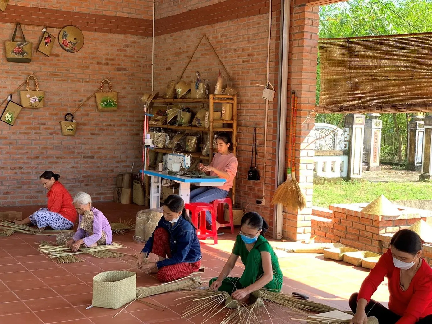 Blog #0510: Cây cỏ bàng và các sản phẩm làm từ cỏ bàng phổ biến 3 cỏ bàng, cây cỏ bàng