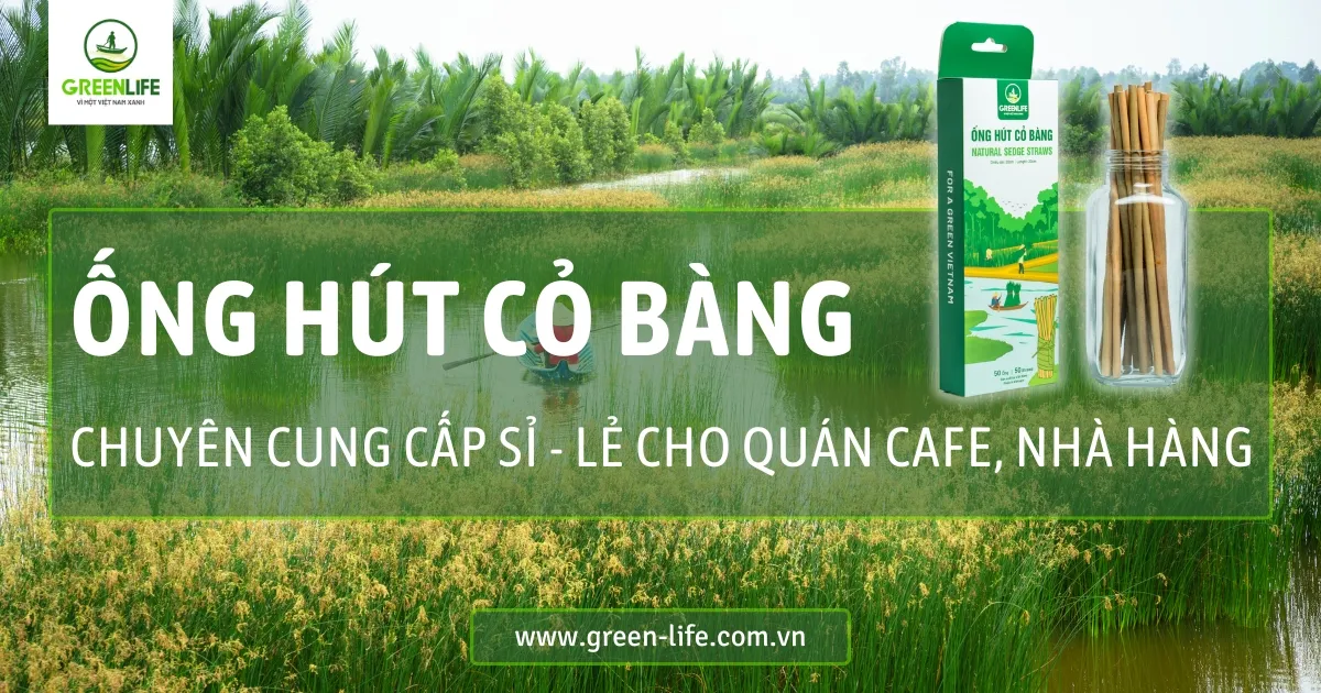 ống hút cỏ, ống hút cỏ bàng