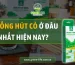 mua ống hút cỏ, ống hút cỏ, ống hút cỏ bàng