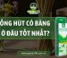 mua ống hút cỏ bàng, ống hút cỏ bàng, ống hút cỏ