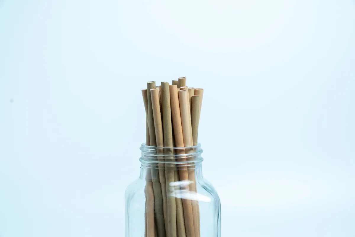 ống hút cỏ, ống hút cỏ bàng