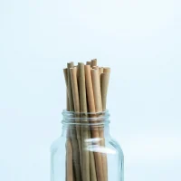 ống hút cỏ, ống hút cỏ bàng