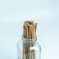 ống hút cỏ, ống hút cỏ bàng