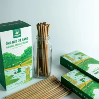 ống hút cỏ, ống hút cỏ bàng