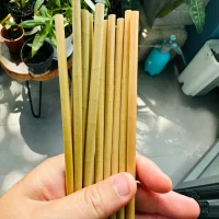 ống hút cỏ, ống hút cỏ bàng