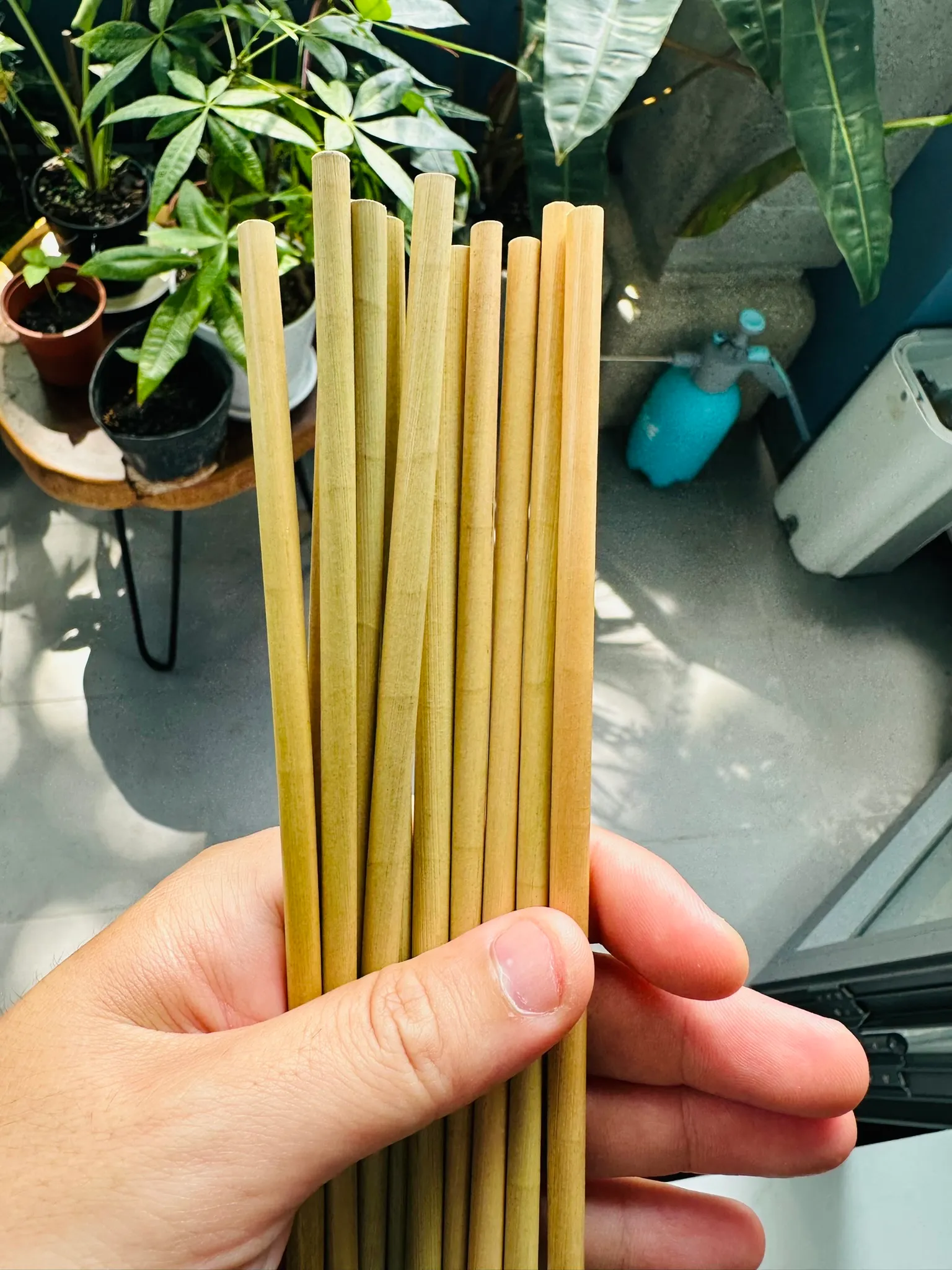 Sản phẩm xanh là gì? 5 đặc điểm và 2 lợi ích của sản phẩm xanh 6 sản phẩm xanh, ống hút cỏ