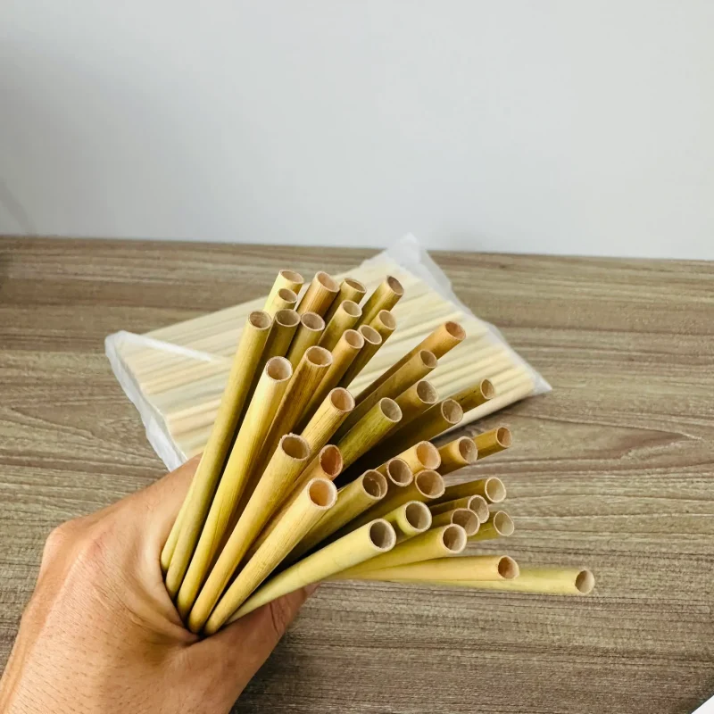 Vietnam Biodegradable Straws: Exporting Sustainability to the Global Market 2 biodegradable straws